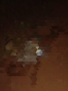 IMG_20230926_232206-225x300 हाथी की चपेट में आया ग्रामीण सोया मौत की निंद