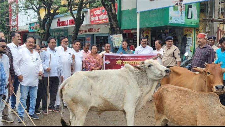 IMG-20240816-WA0005 किसान एवं आम जनता आवारा पशुओं के आतंक से परेशान तथा गौवंशी पशुओं के सम्मान के लिए कांग्रेस का गौ-सत्याग्रह।
