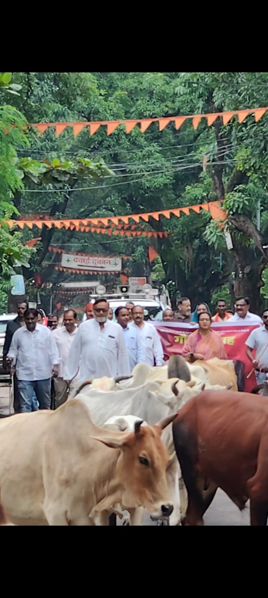 IMG-20240816-WA0006 किसान एवं आम जनता आवारा पशुओं के आतंक से परेशान तथा गौवंशी पशुओं के सम्मान के लिए कांग्रेस का गौ-सत्याग्रह।