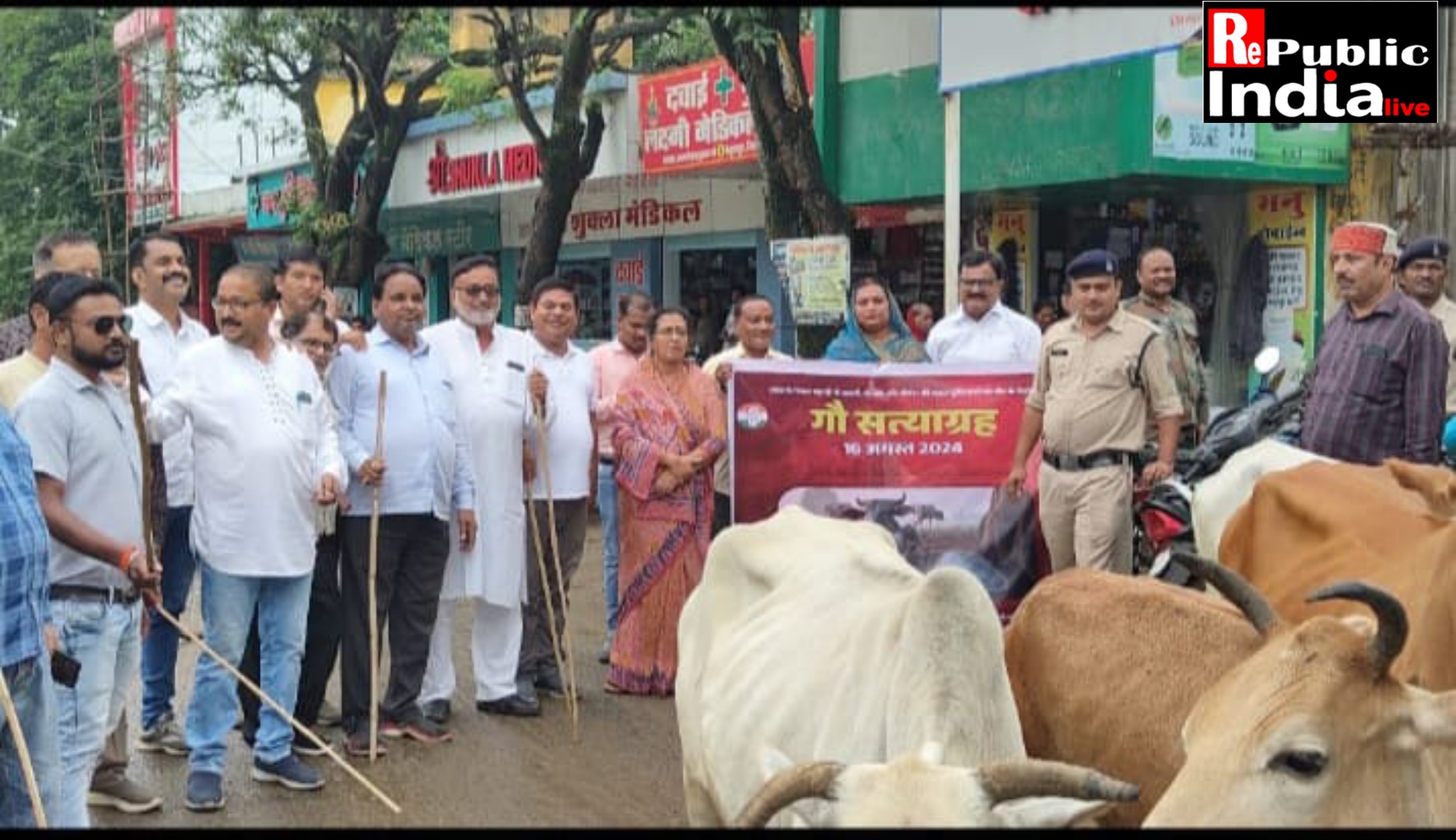 Picsart_24-08-16_20-09-06-490 किसान एवं आम जनता आवारा पशुओं के आतंक से परेशान तथा गौवंशी पशुओं के सम्मान के लिए कांग्रेस का गौ-सत्याग्रह।