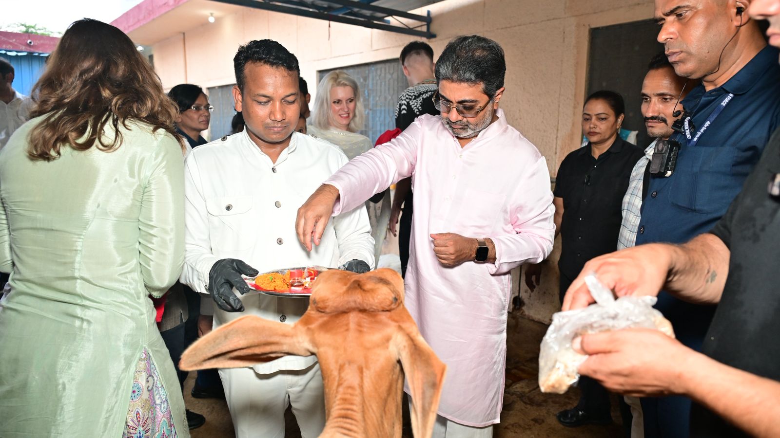 IMG-20250706-WA0004 प्रथम जन्मदिवस पर युवराज आदितेश्वर वर्मा ने निभाई गौसेवा, वर्मा परिवार ने मनाया विशेष दिन।