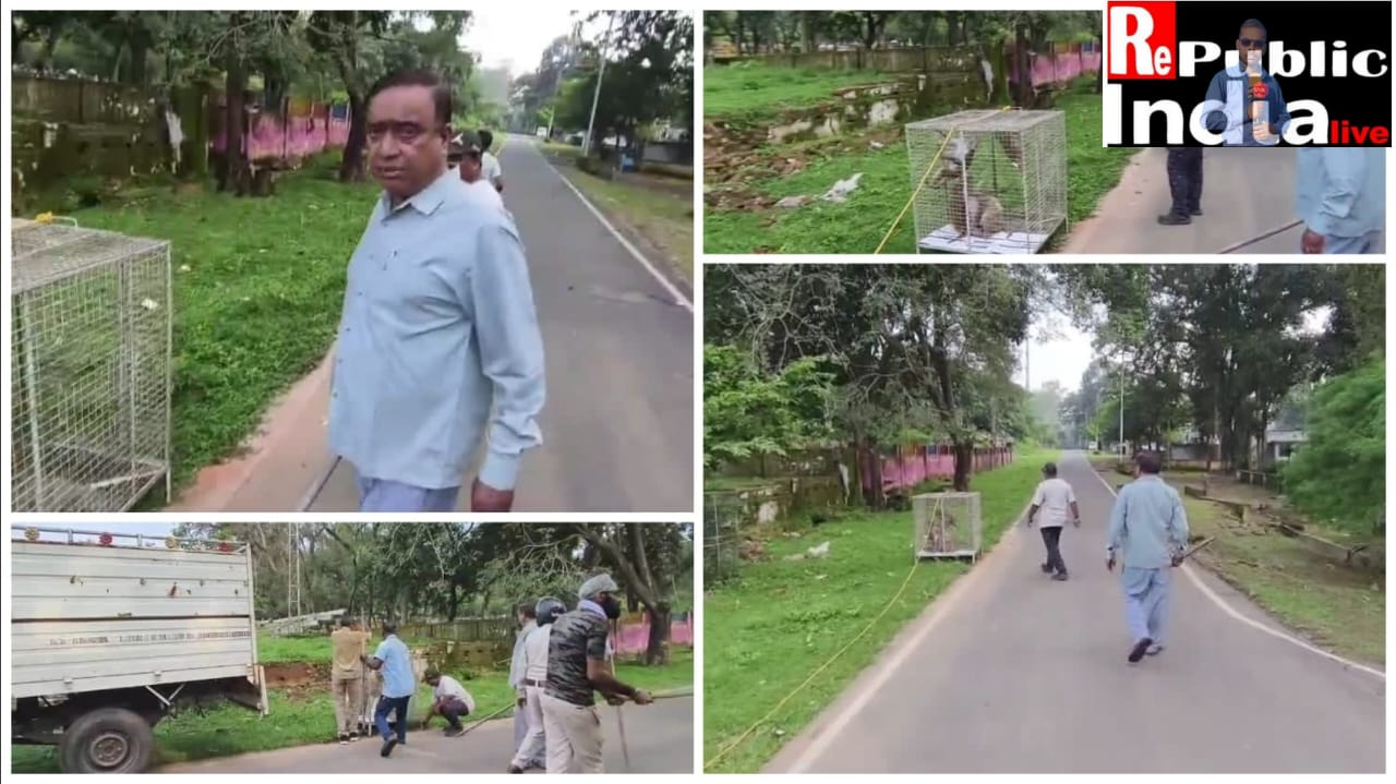 IMG-20250922-WA0001 चिरमिरी में बंदरों का आतंक, मंत्री से शिकायत और अब एक्शन मोड में वन मंडलाअधिकारी मनीष कस्यप।   