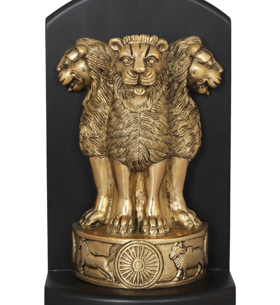 IMG-20251217-WA0026 जिला पुलिस एम. सी. बी. की अपील   हमारी सड़कों पर बदलाव के भागीदार बनें!