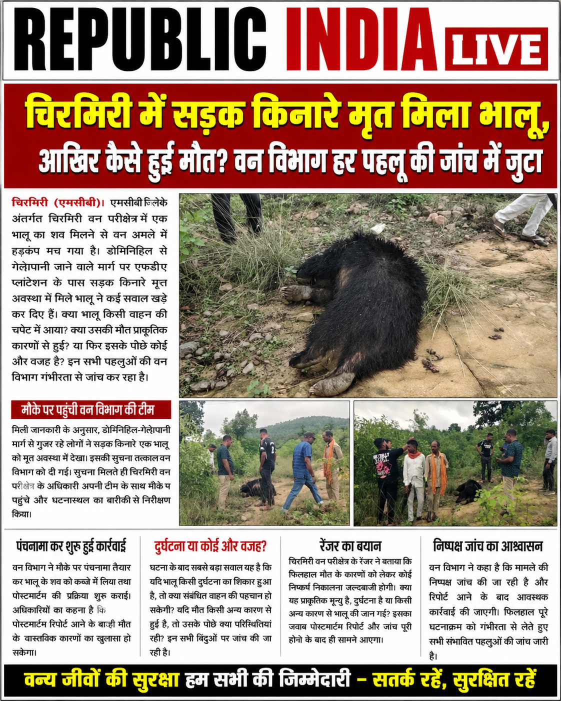 file_00000000051881fdaf42f1c185b991a9 चिरमिरी में सड़क किनारे मृत मिला भालू, आखिर कैसे हुई मौत? वन विभाग हर पहलू की जांच में जुटा।